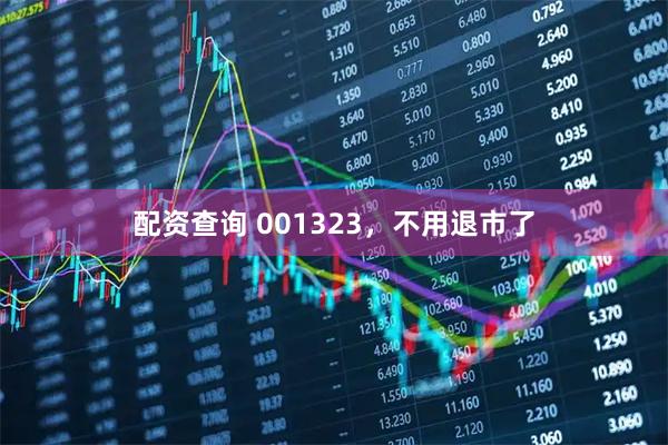 配资查询 001323，不用退市了