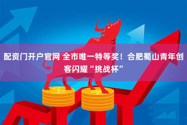 配资门开户官网 全市唯一特等奖！合肥蜀山青年创客闪耀“挑战杯”